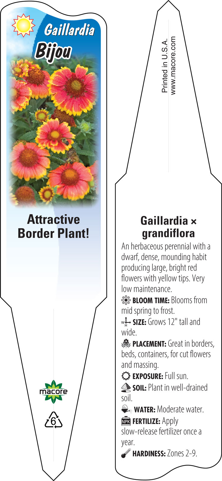 Gaillardia bijou deals