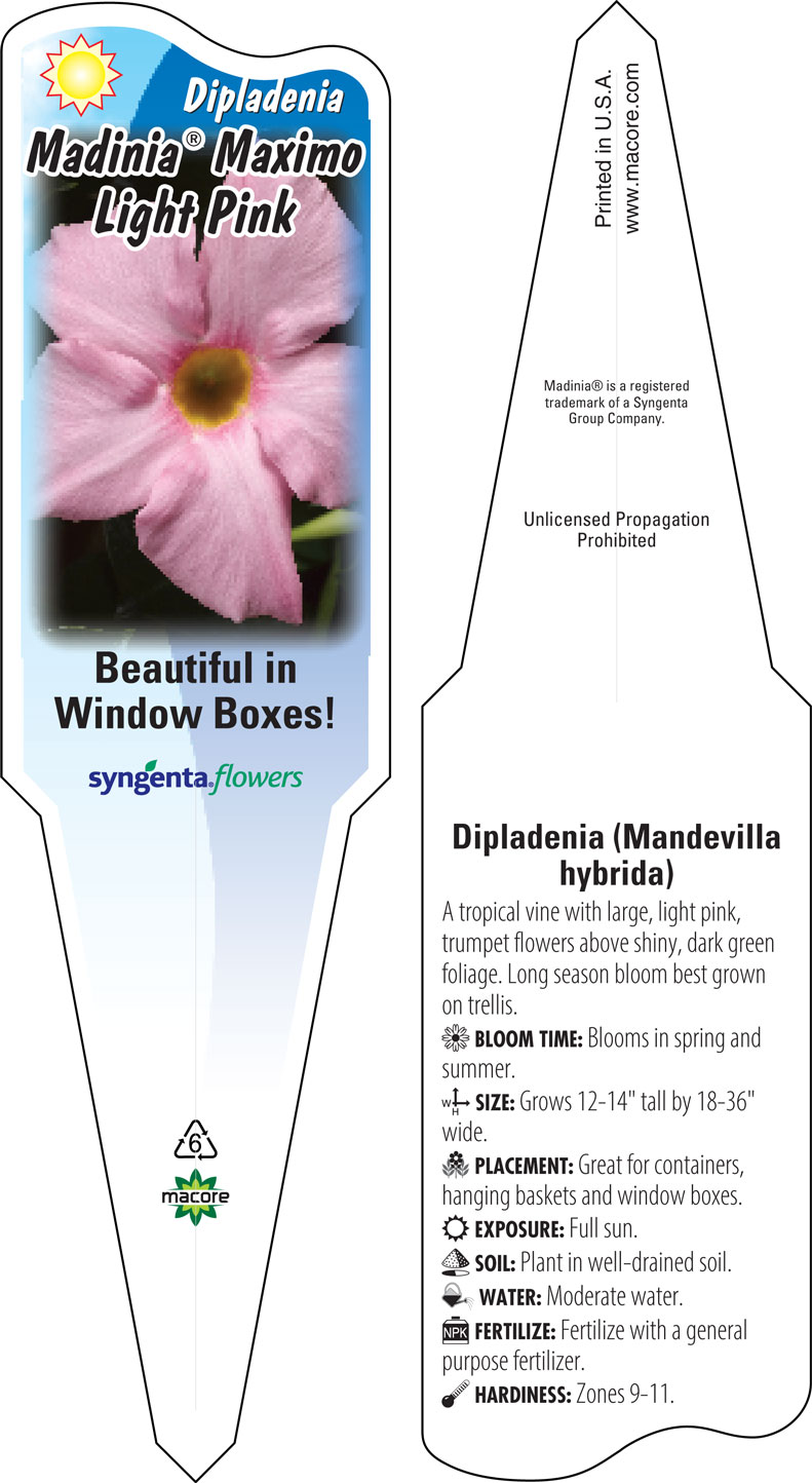Macore- Stakes, Tags, & Labels for the Horticulture Industry Macore- Stakes, Tags, & Labels for the Horticulture Industry