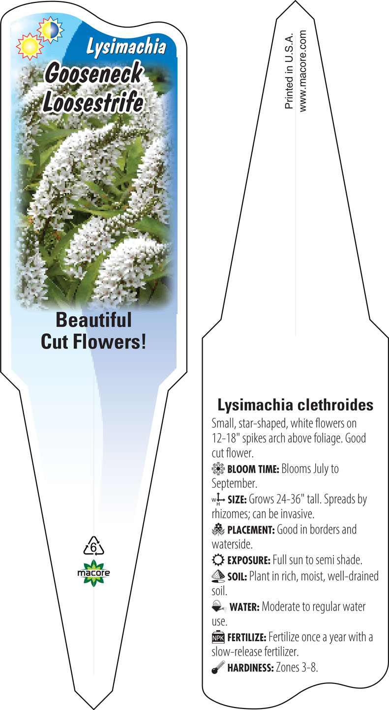Macore- Stakes, Tags, & Labels for the Horticulture Industry