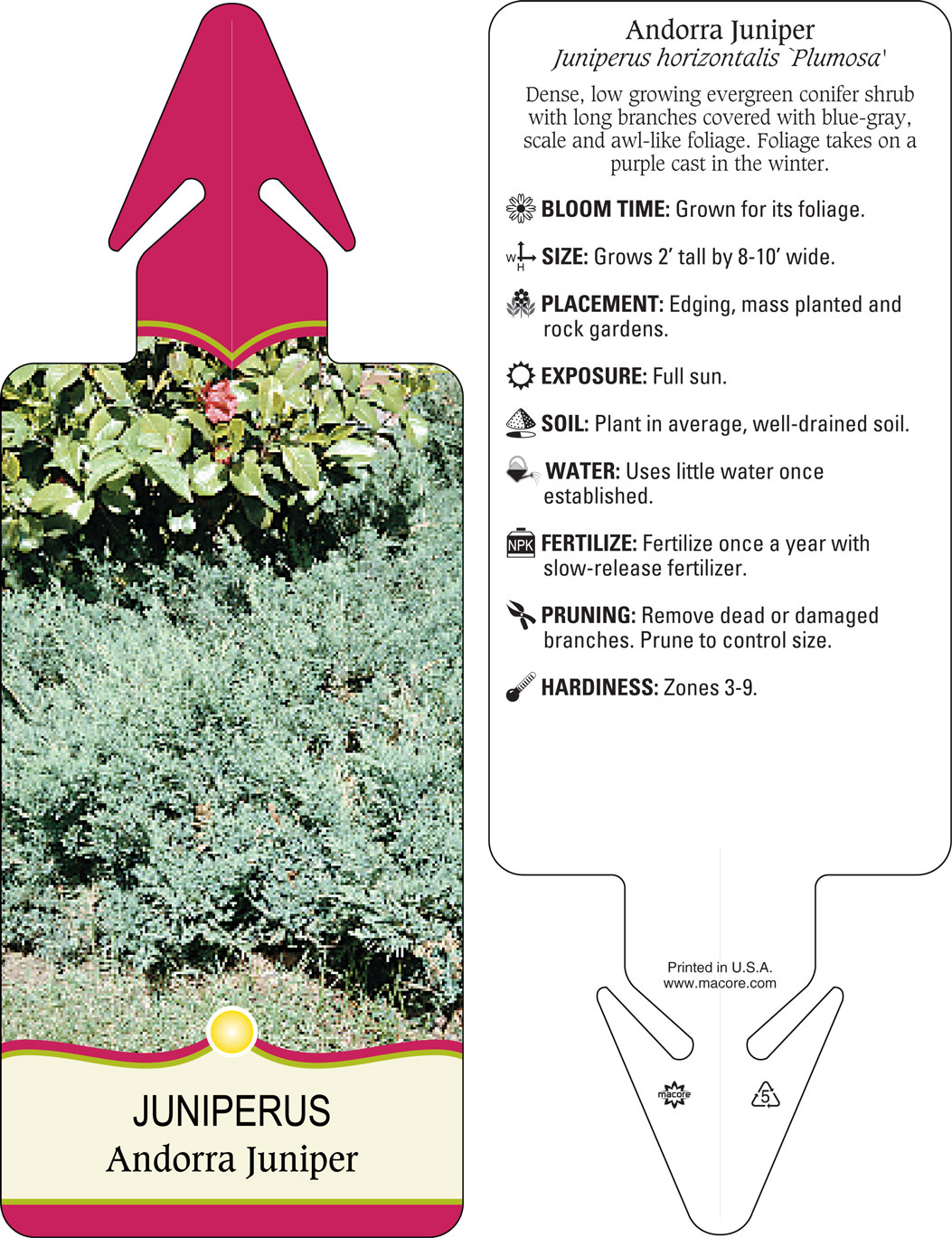 Macore- Stakes, Tags, & Labels for the Horticulture Industry Macore- Stakes, Tags, & Labels for the Horticulture Industry