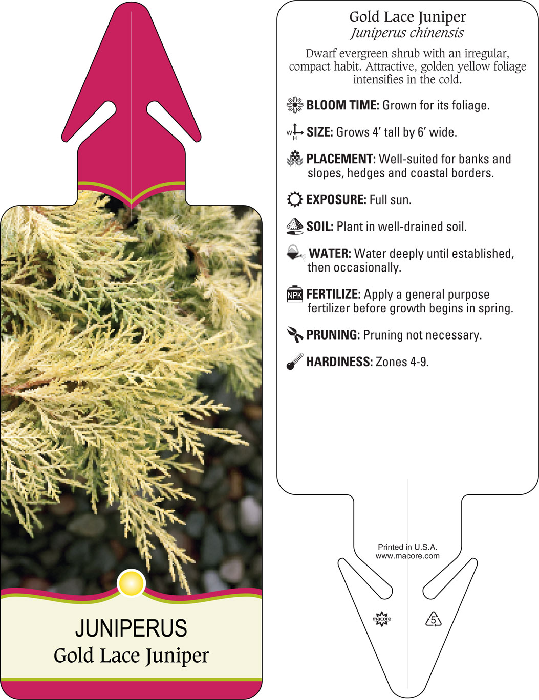 Macore- Stakes, Tags, & Labels for the Horticulture Industry Macore- Stakes, Tags, & Labels for the Horticulture Industry